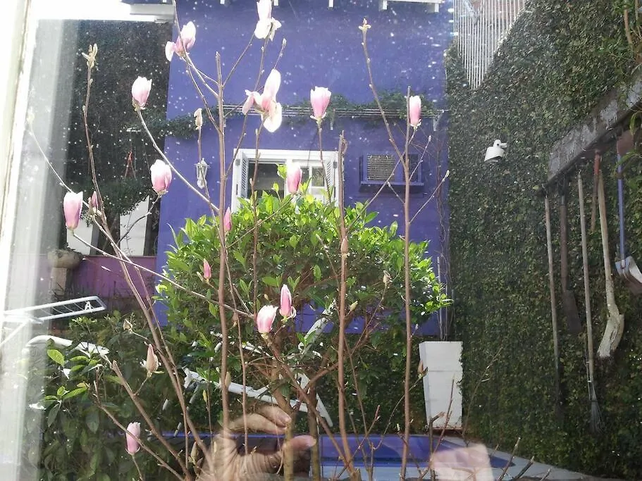 Morada das Flôres Porto Alegre