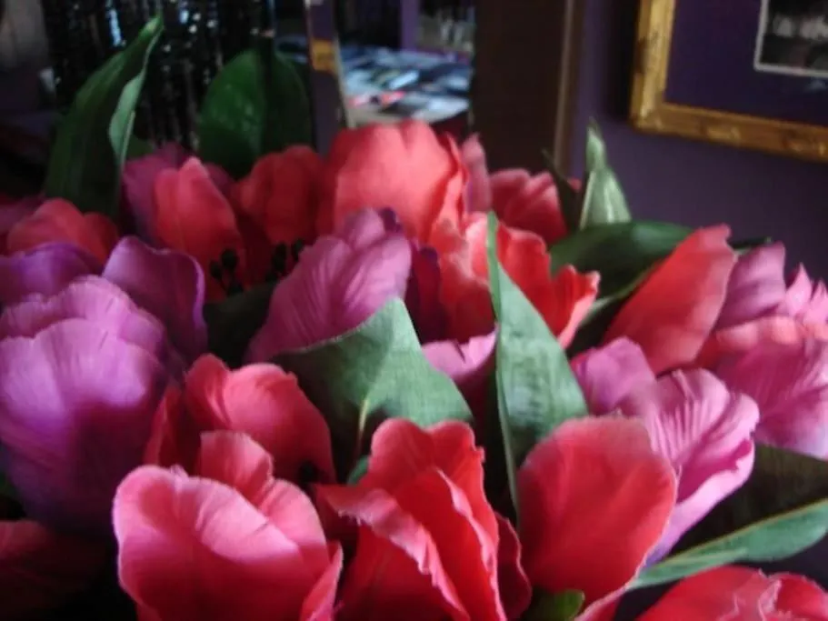 Morada Das Flores بورتو أليغري 0*,